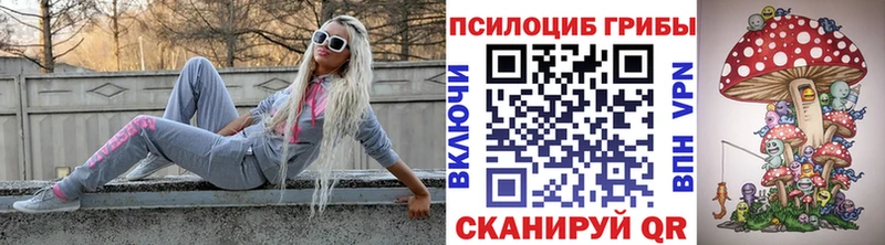 Галлюциногенные грибы мицелий это какой сайт Куйбышев дарнет шоп