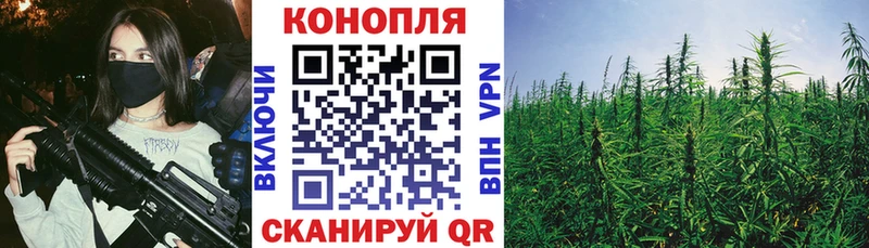 Конопля Bruce Banner  Куйбышев 